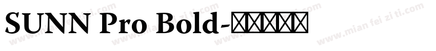 SUNN Pro Bold字体转换